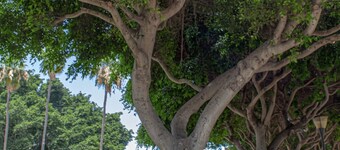 Apartment in Las Palmas Near Playa de Las Canteras