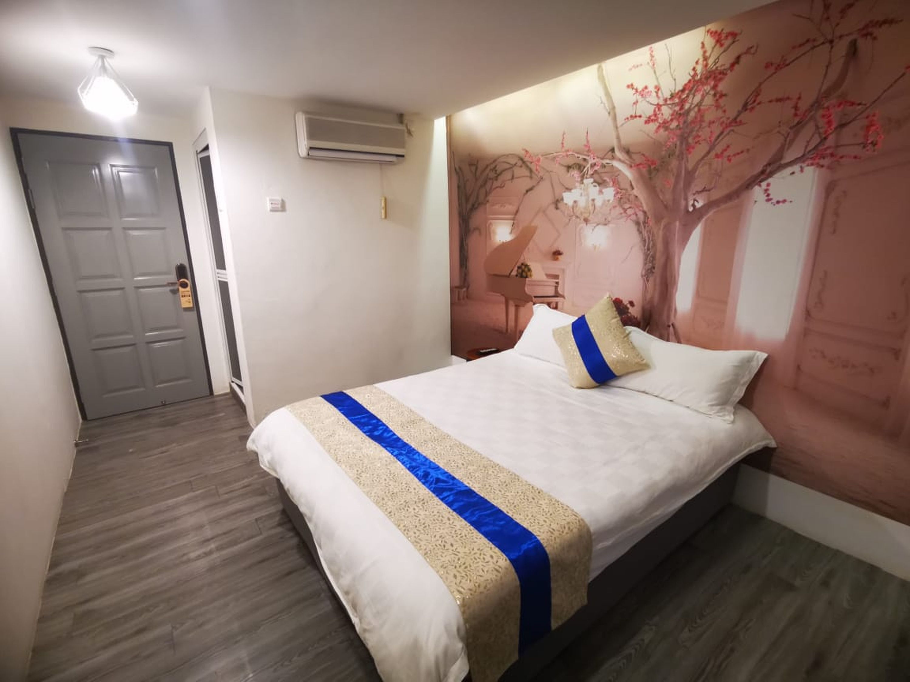 Een slaapkamer met een bed, een deur, een airconditioning en een muurschildering.