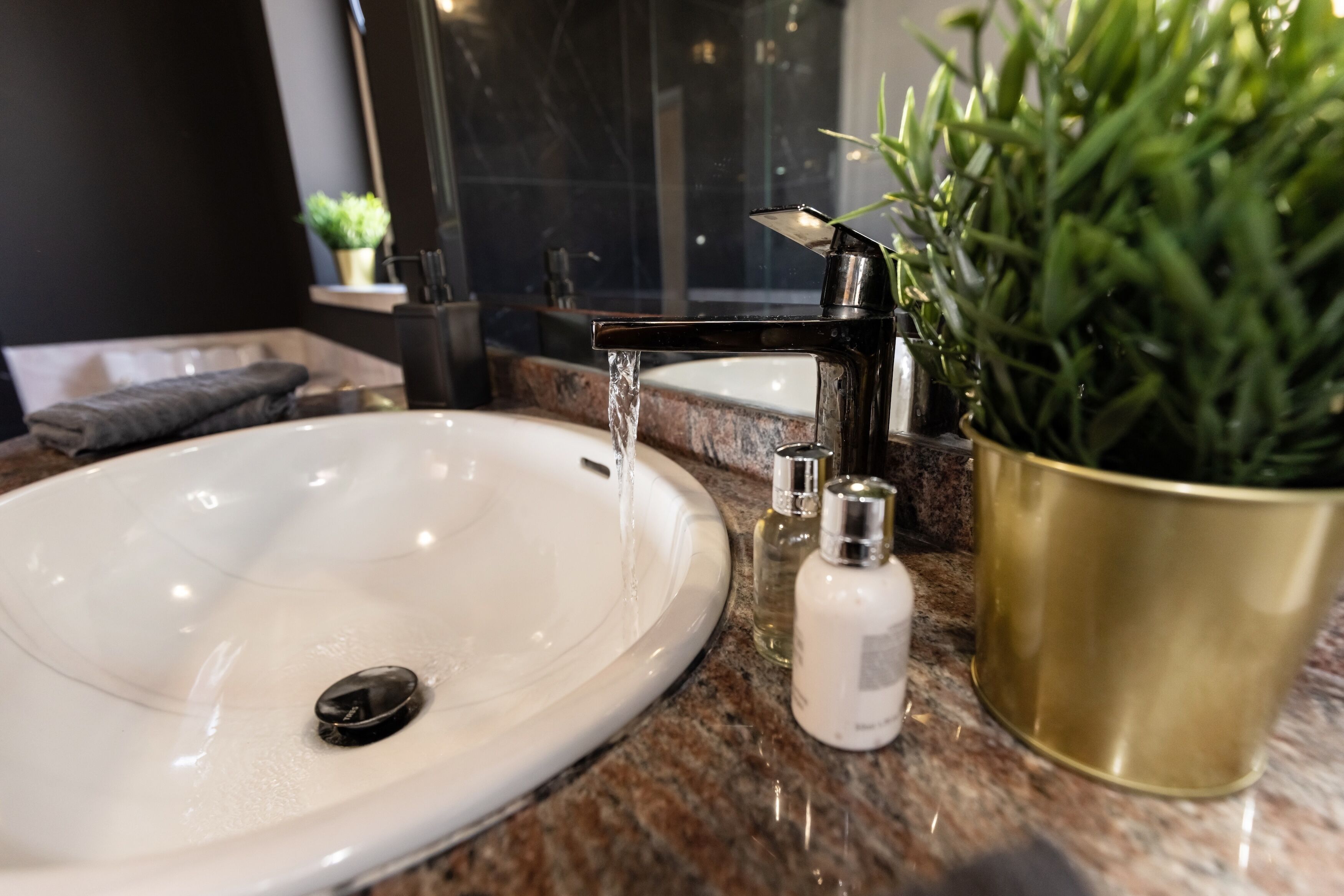Un lavabo avec de l’eau courante, un miroir, une plante aux feuilles dorées et deux flacons de produits de toilette.