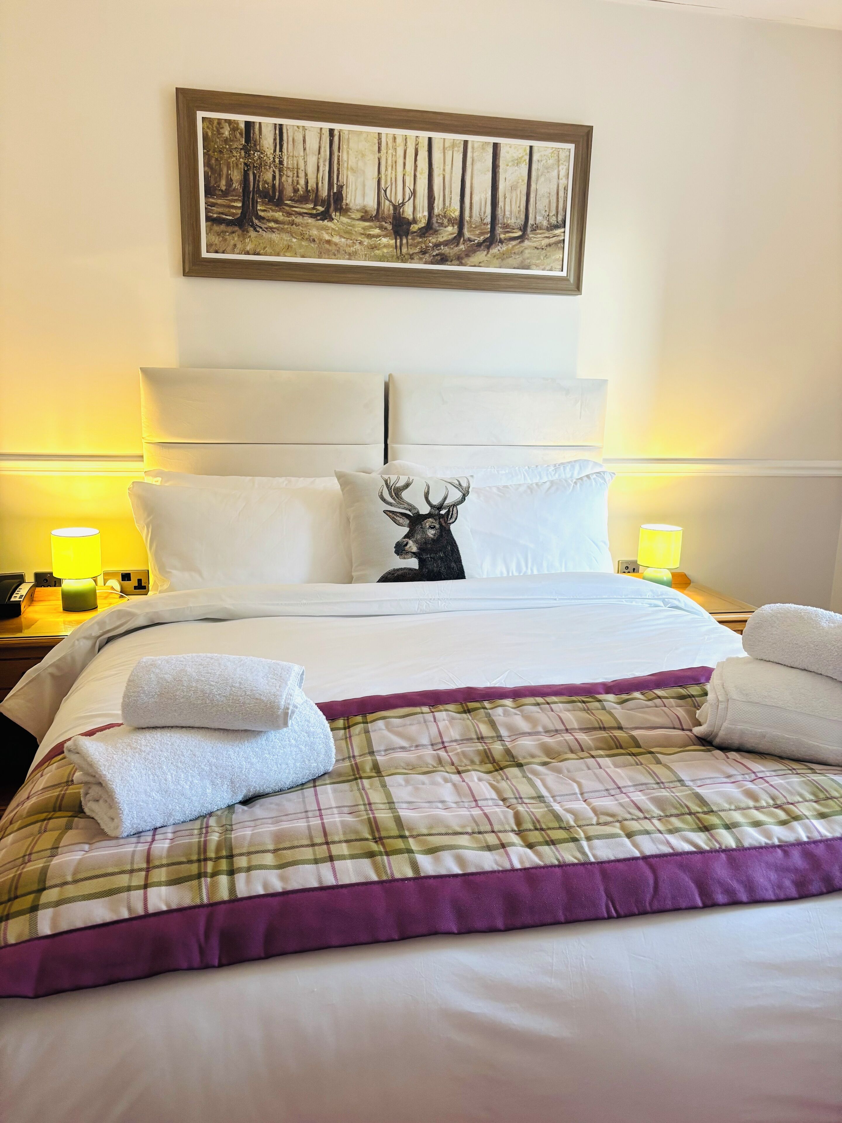Double or Twin Room | Iron/ironing board, free WiFi