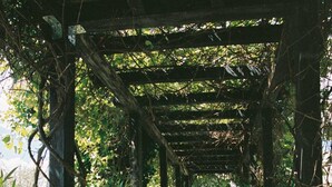 A covered pathway with wooden posts and climbing plants, leading to a garden area. - Turmvilla Werder - Historic vacation home with garden, Havel view & bathing jetty (Werder Havel)