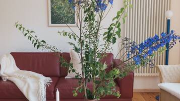 Fernseher, Kamin, Bücher