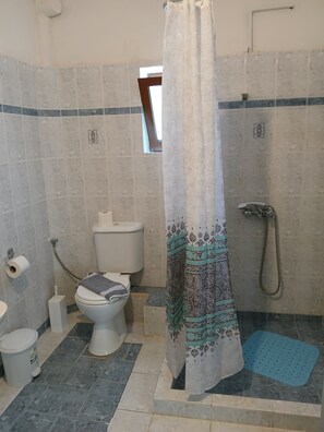 Une salle de bain équipée de toilettes, d’un bidet, d’une douche et d’une petite fenêtre.