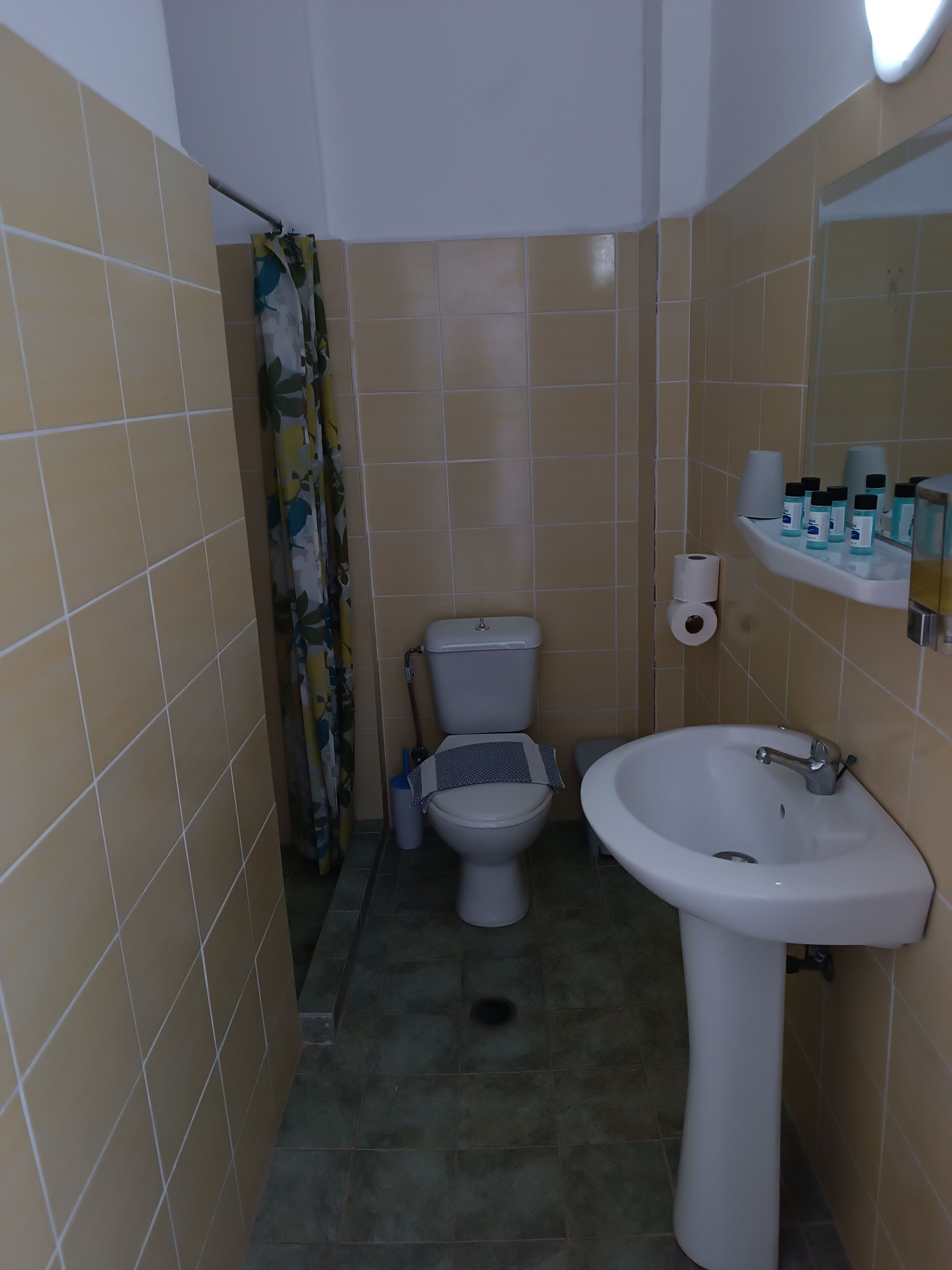 Ein Badezimmer mit Toilette, Waschbecken und Duschvorhang.