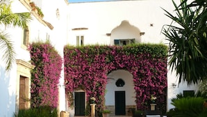 A courtyard with a white building, a covered archway, and a paved walkway.