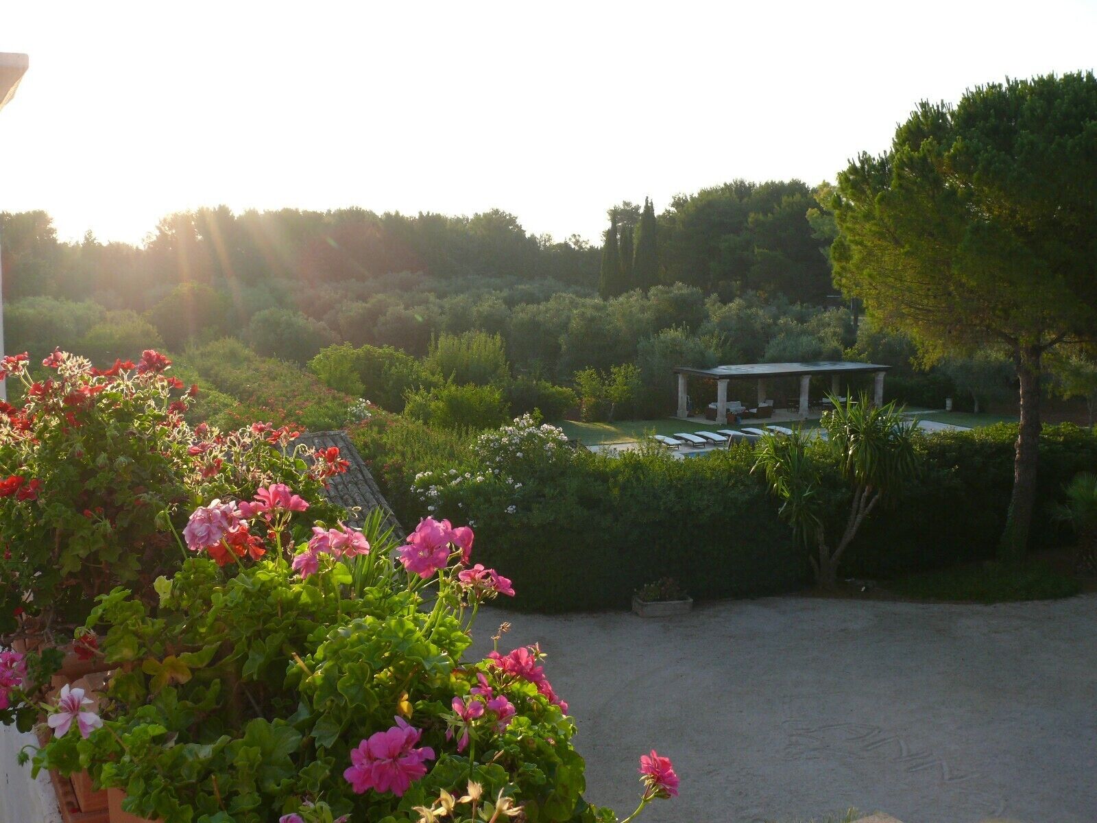 Parco della struttura