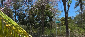 Your Dream Escape to Nature & Fun at Villa Palmeras in Playa Juan Hombron