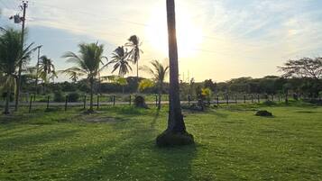 House, 2 Bedrooms, Accessible, Patio | Exterior