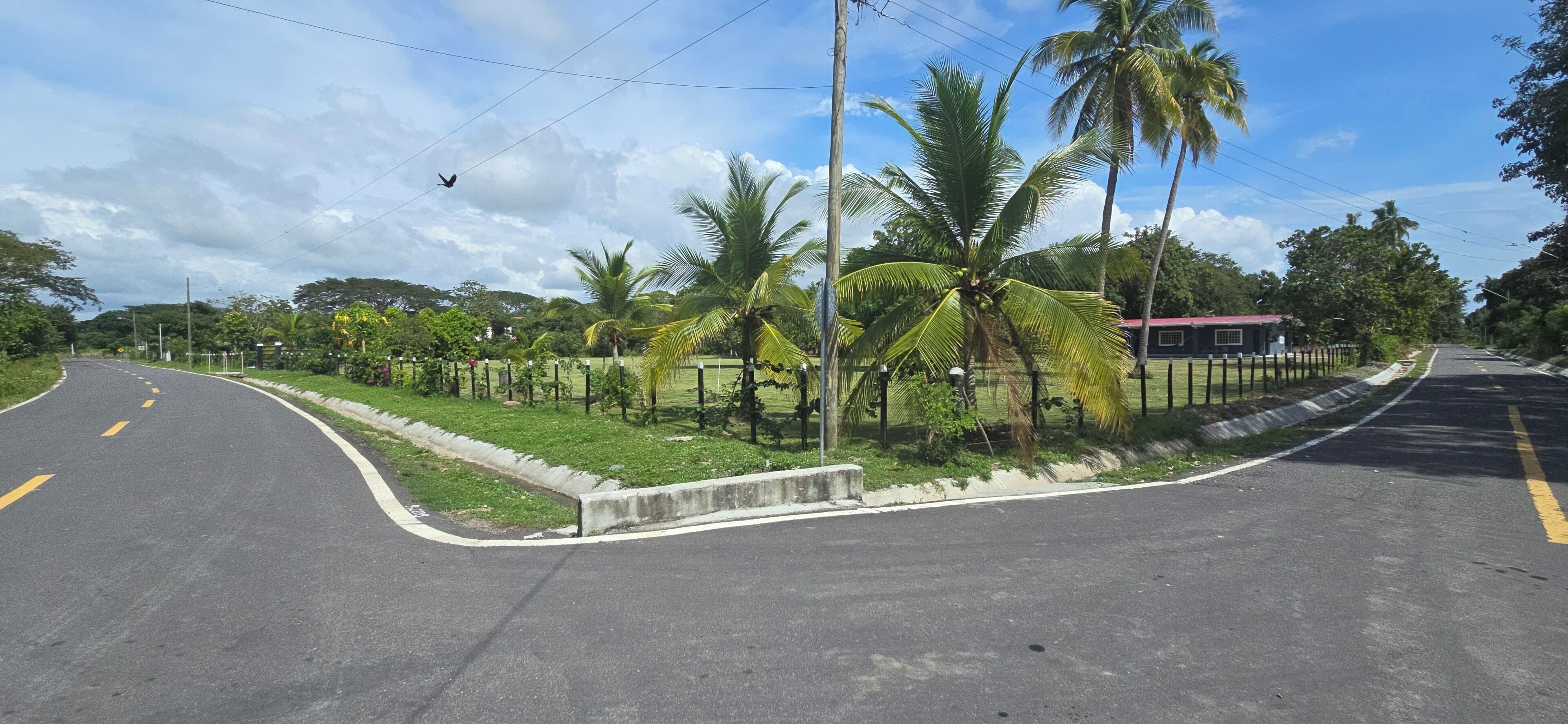 A road curving to the left with a grassy median, palm trees, and a small building with a red roof.