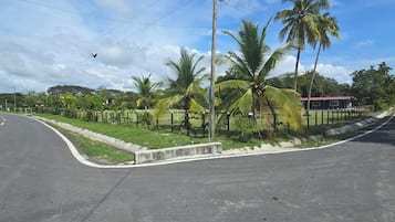A road curving to the left with a grassy median, palm trees, and a small building with a red roof.