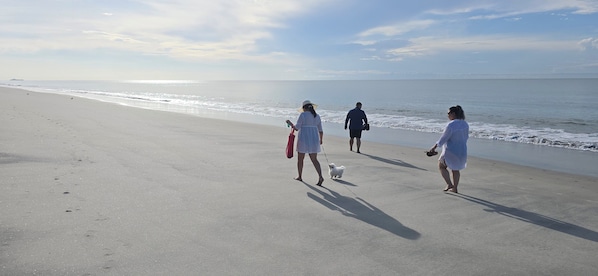 Villa, 2 Bedrooms, Accessible, Patio | Beach - Your Dream Escape to Nature & Fun at Villa Palmeras in Playa Juan Hombron (El Chiru)