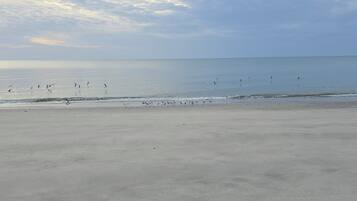 Vila, 2 kamar tidur, akses difabel, patio | Pantai