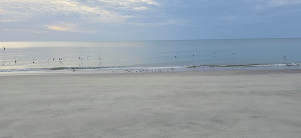 ชายหาด