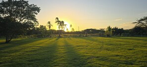 A grassy field with trees and a clear sky. - Your Dream Escape to Nature & Fun at Villa Palmeras in Playa Juan Hombron (El Chiru)