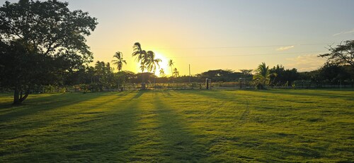Your Dream Escape to Nature & Fun at Villa Palmeras in Playa Juan Hombron