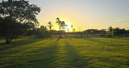 Your Dream Escape to Nature & Fun at Villa Palmeras in Playa Juan Hombron