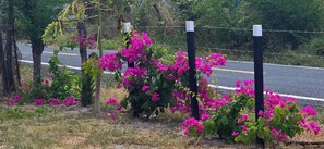 Villa, 2 camere da letto, accessibile ai disabili, patio | Giardino