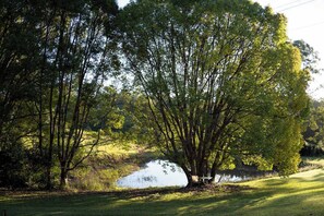 Miscellaneous - Hill Creek Tiny House 5 by Tiny Away (Perwillowen)