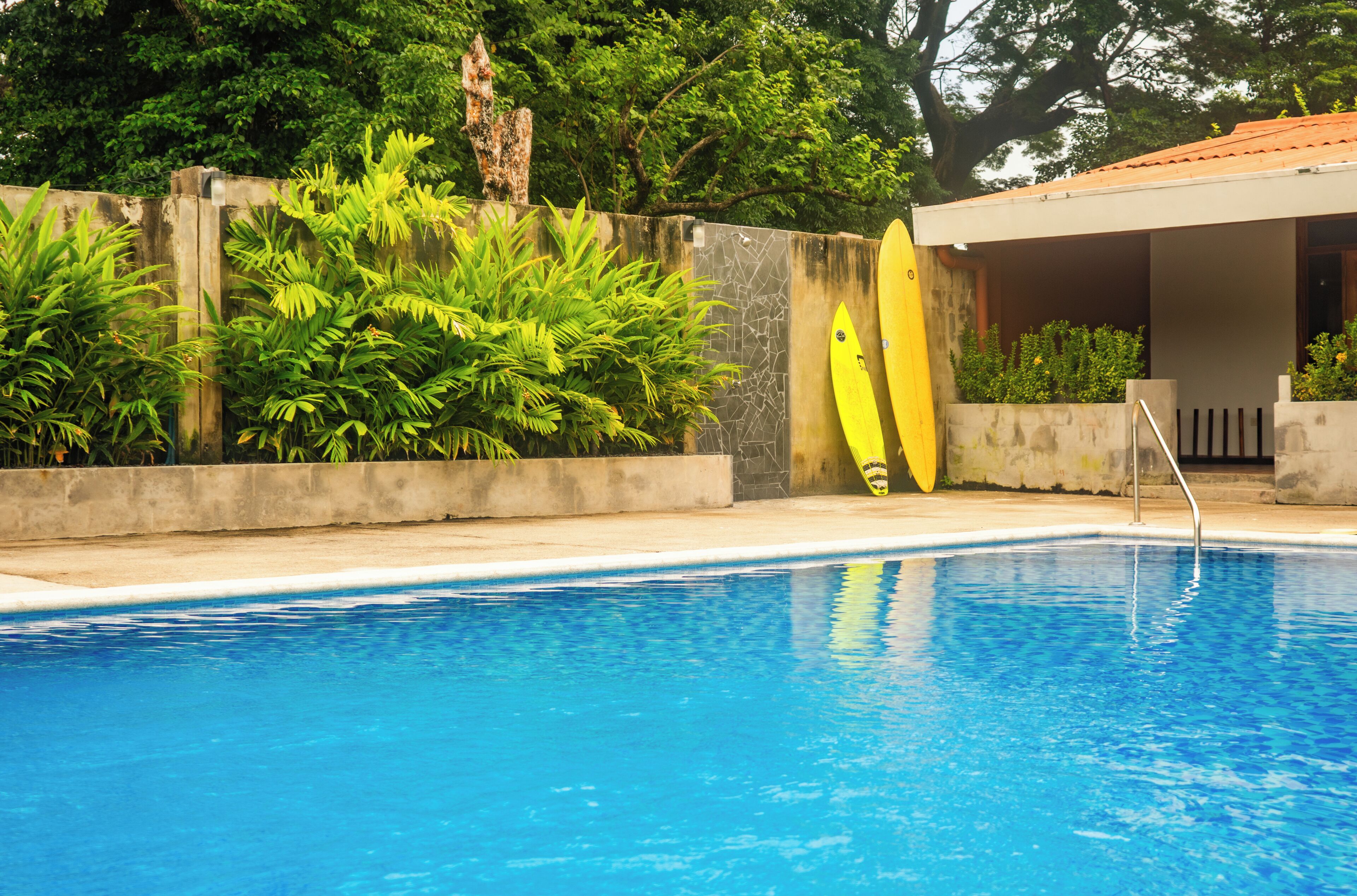 Kolam renang
