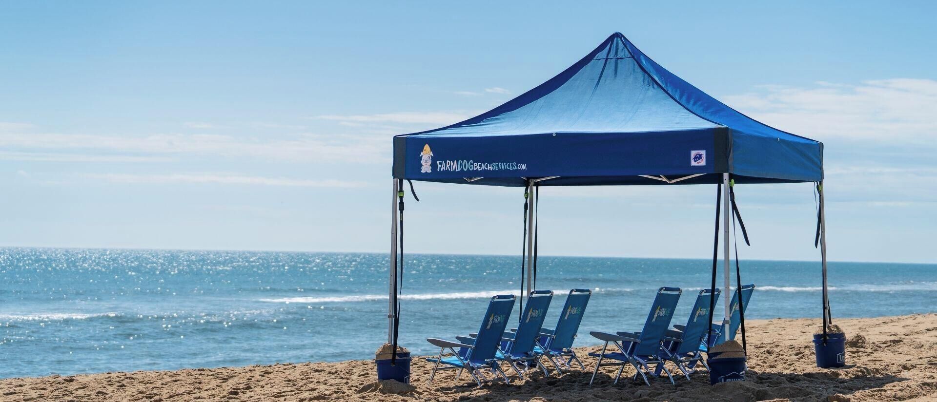 بالقرب من الشاطئ