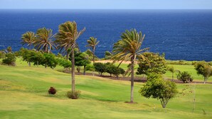 Um campo de golfe com vista para o oceano.