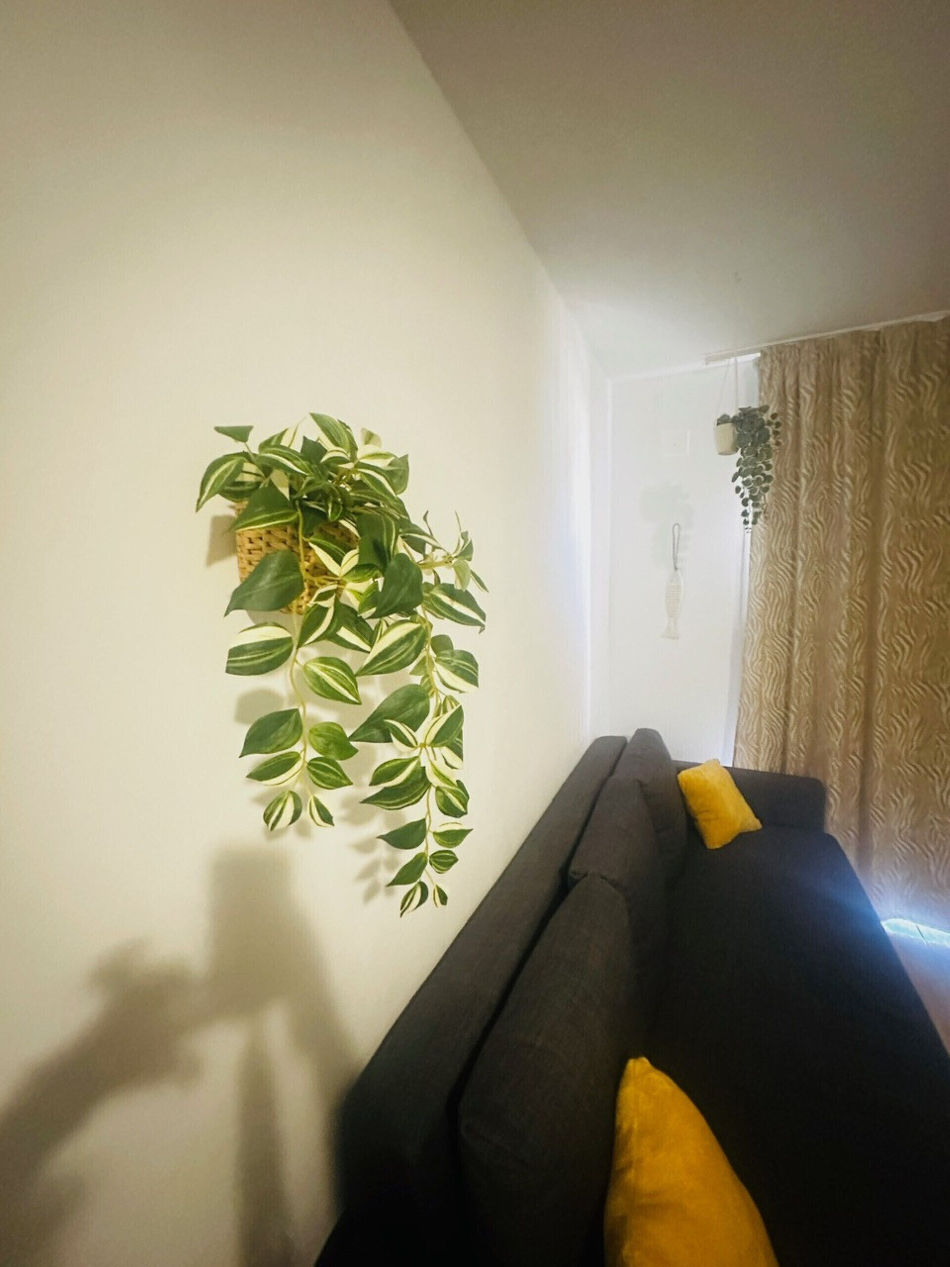 A living room with a dark sofa, yellow cushions, and a wall-mounted plant.