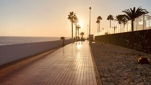 Un sendero pavimentado con palmeras y vista al mar.