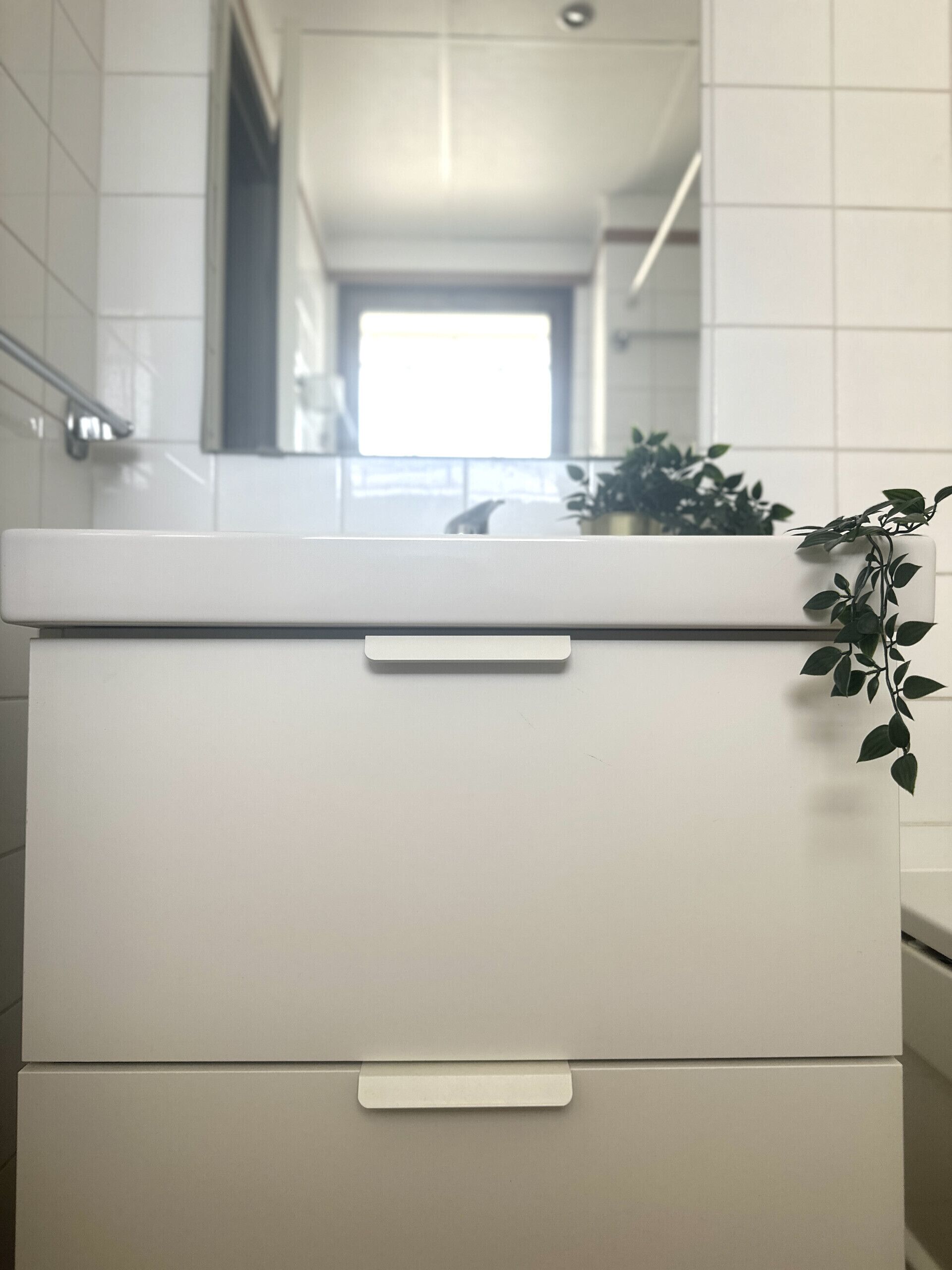 A white bathroom vanity with a mirror above it and a plant on the right side.
