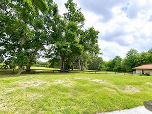 Property grounds - Comfortable, Peaceful Stay Near Tampa & Plant City (Seffner)