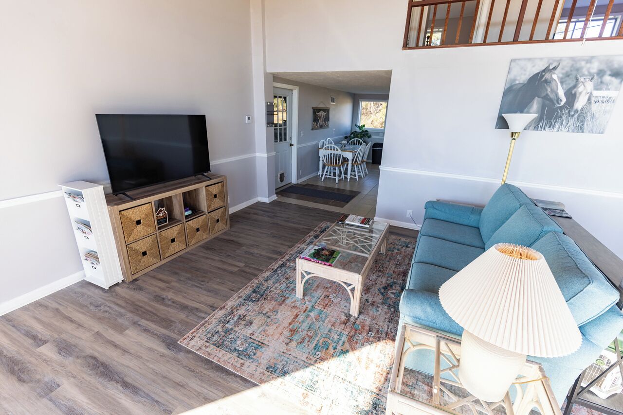 Smart TV, DVD player, books, computer monitors