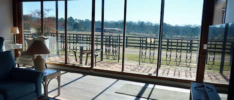 Smart TV, DVD player, books