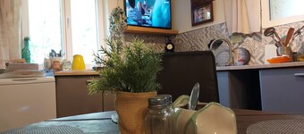 Natural setting and source of art, river, animals welcome, magical calm!