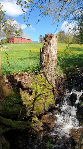 Haselbach oasis of peace: relaxation in the countryside. Idyllic Haselbach estate