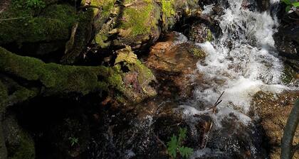 Haselbach oasis of peace: relaxation in the countryside. Idyllic Haselbach estate