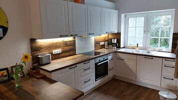 Ofen, Herdplatte, Geschirrspüler