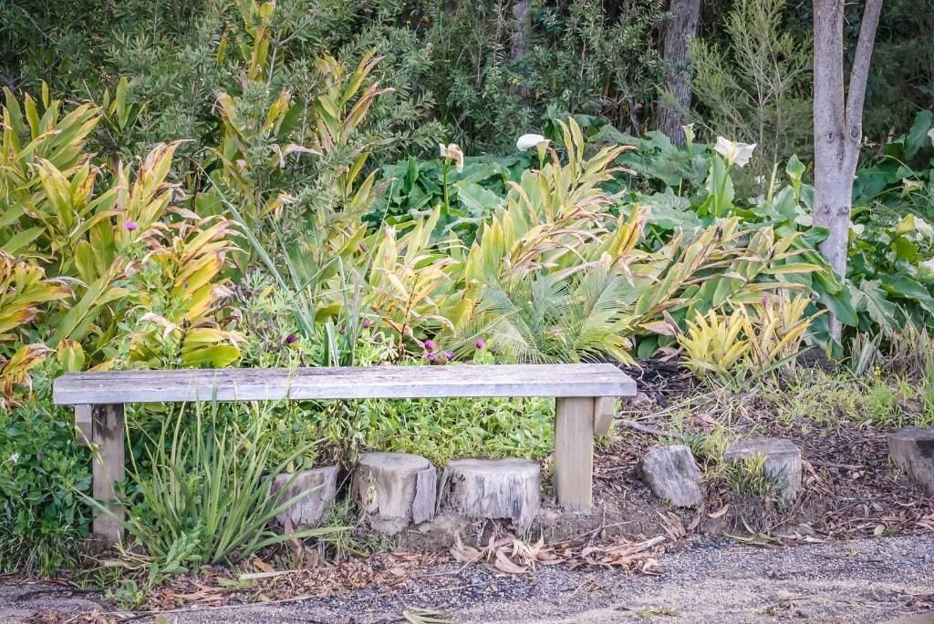 Un banco de madera en un jardín, con diversas plantas y árboles al fondo.