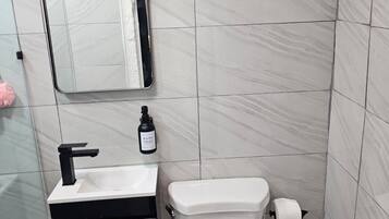 Secadora de cabello, jabón, papel de baño