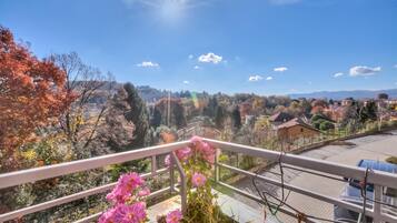 Ein Balkon mit Blick auf ein Wohngebiet, darunter Häuser und Bäume.