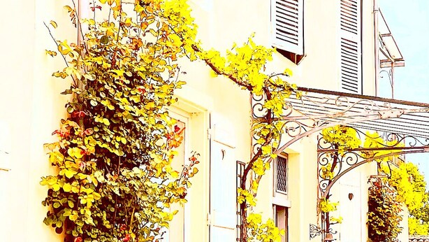 A building with a white facade, a covered outdoor seating area, and a vine-covered wall. - Domaine les Darbonnets (Chavannes-sur-Reyssouze)
