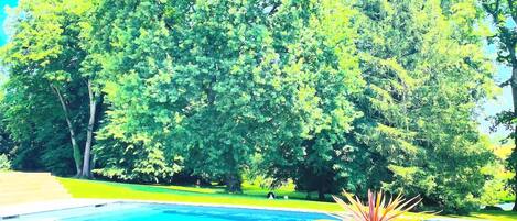 Seasonal outdoor pool