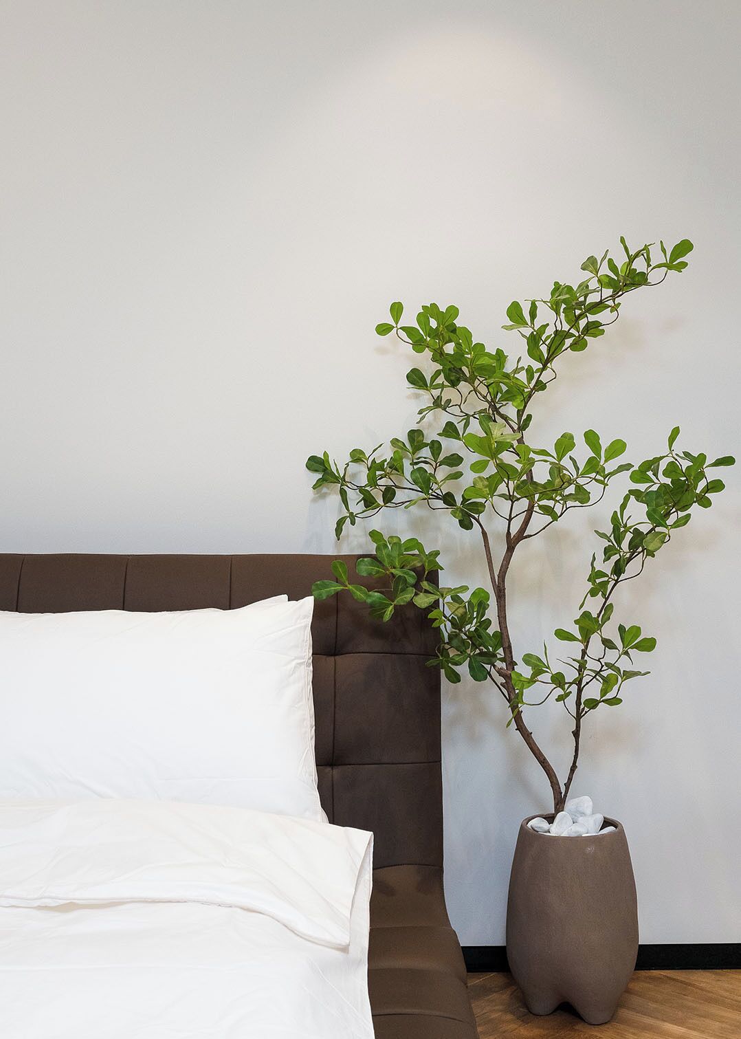 Bàn, khu vực làm việc phù hợp cho laptop 