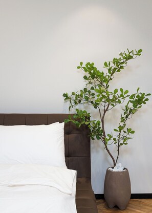 Desk, laptop workspace, free WiFi - Artemis (Tiberias)