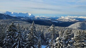 Laaja panoraamanäkymä vuoristomaisemaan, jossa on lumipeitteisiä puita ja kaukana siintäviä vuorenhuippuja.