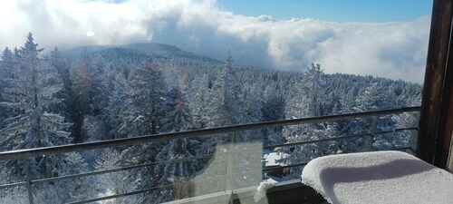 Rental in Chamrousse " l'écrin des neiges " At the foot of the slopes, magnificent view