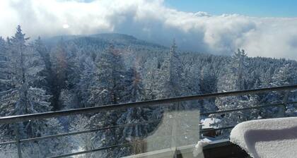 Rental in Chamrousse " l'écrin des neiges " At the foot of the slopes, magnificent view
