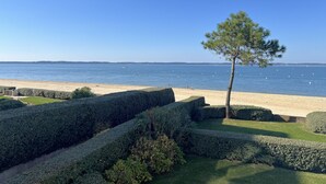 Ein Strand mit ordentlich geschnittenen Hecken und einem einzelnen Baum.
