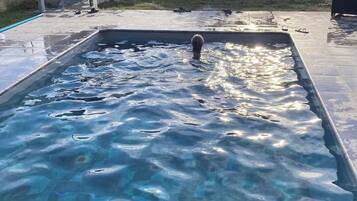 Ein rechteckiger Pool mit klarem Wasser, umgeben von einer Steinterrasse.