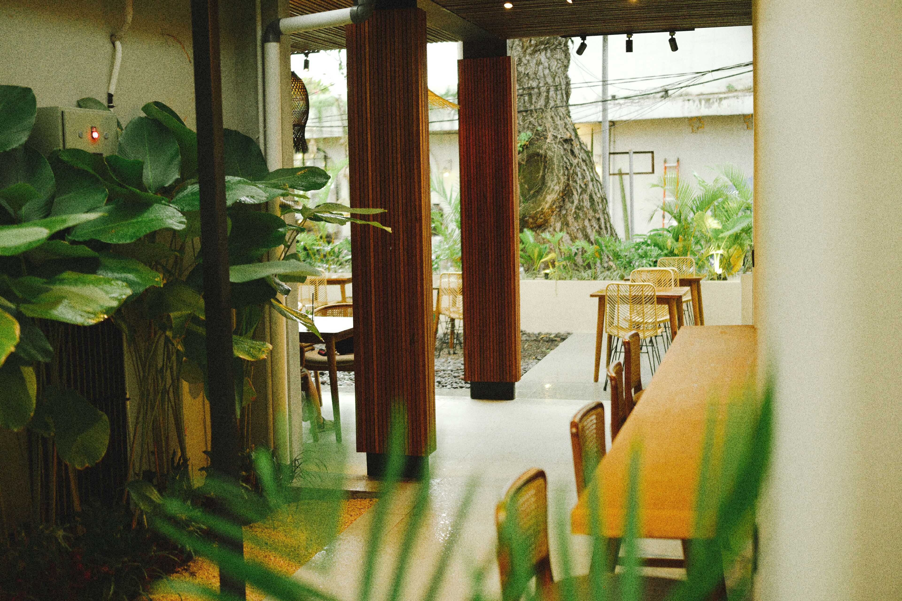 An indoor dining area with wooden tables and chairs, surrounded by large plants and a tree.