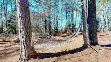 Terrain de l’hébergement