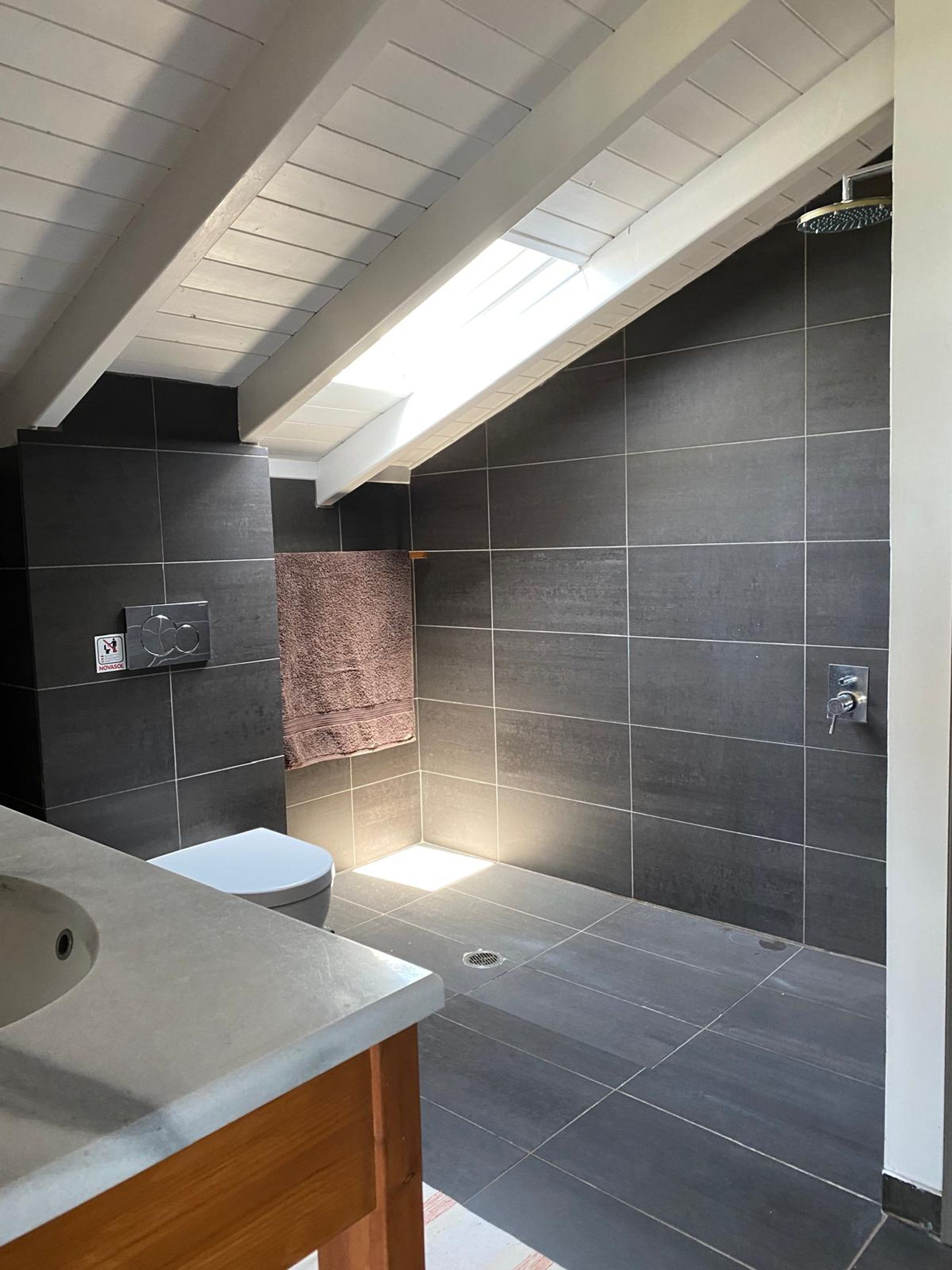 Une salle de bain moderne avec un puits de lumière, des carreaux foncés, une douche et des toilettes.